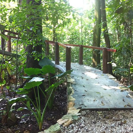 El Caobano Finca Vallescondido מראה חיצוני תמונה