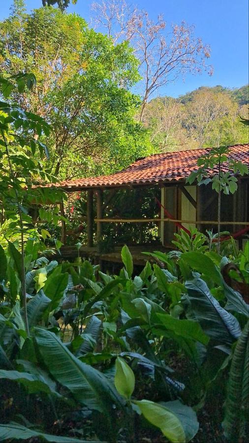 El Caobano Finca Vallescondido מראה חיצוני תמונה