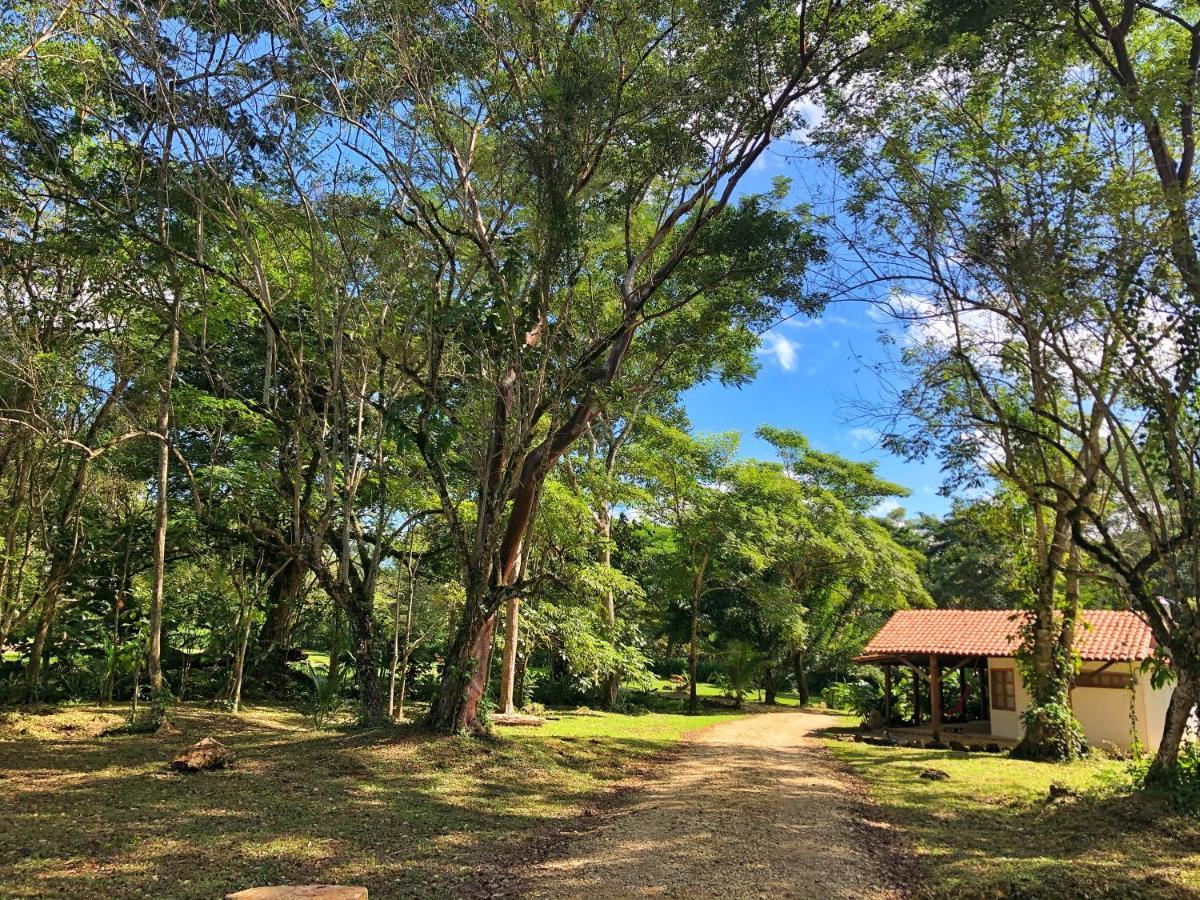 El Caobano Finca Vallescondido מראה חיצוני תמונה