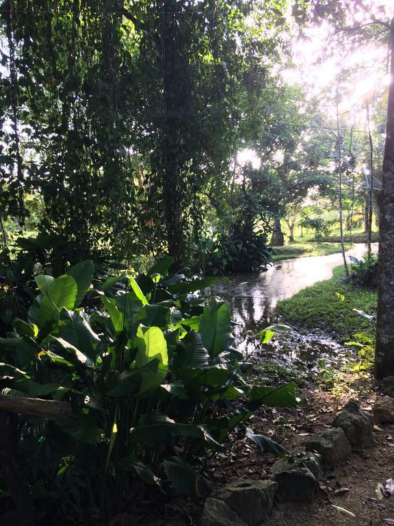 El Caobano Finca Vallescondido מראה חיצוני תמונה